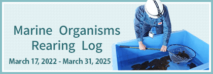 Marine Organisms Rearing Log