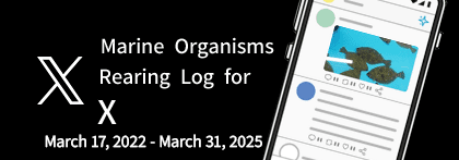 Marine Organisms Rearing Log for X