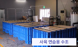 통상 해수에서의 연습 사육 개시