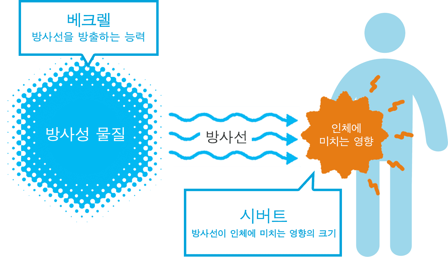 베크렐과 시버트의 차이