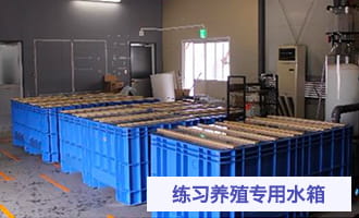 使用普通海水开始练习养殖
