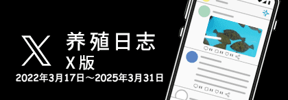 养殖日志X版