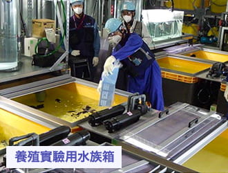 飼養實驗用水槽