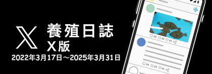 飼養日記X版