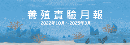 飼育試験月報