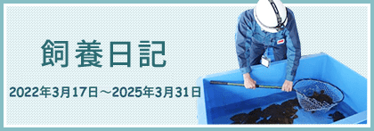 養殖日誌