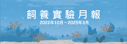 養殖實驗月報