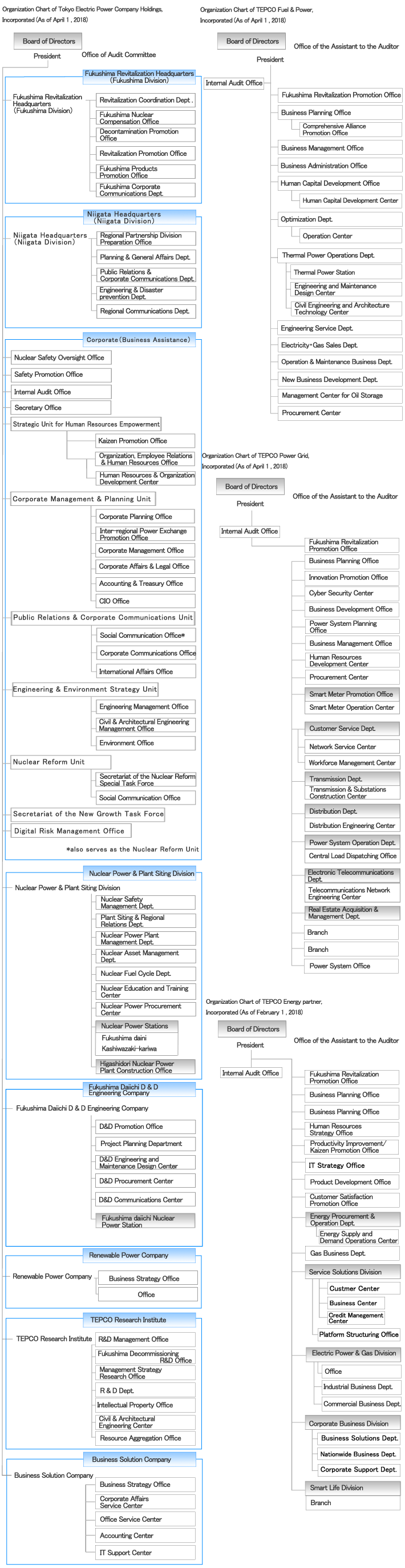 Organization Chart