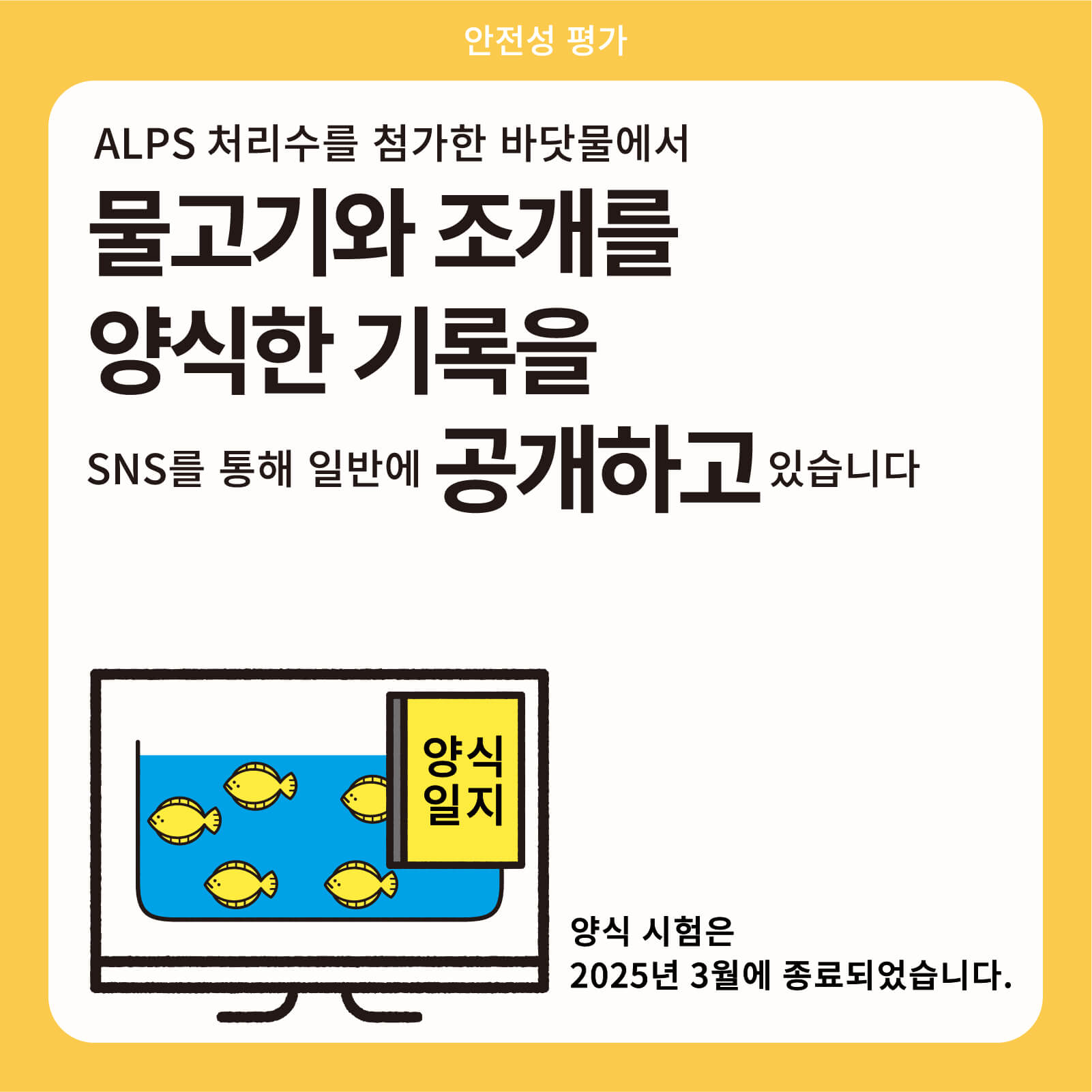 ALPS 처리수를 첨가한 바닷물에서 물고기와 조개를 양식한 기록을 SNS를 통해 일반에 공개하고 있습니다