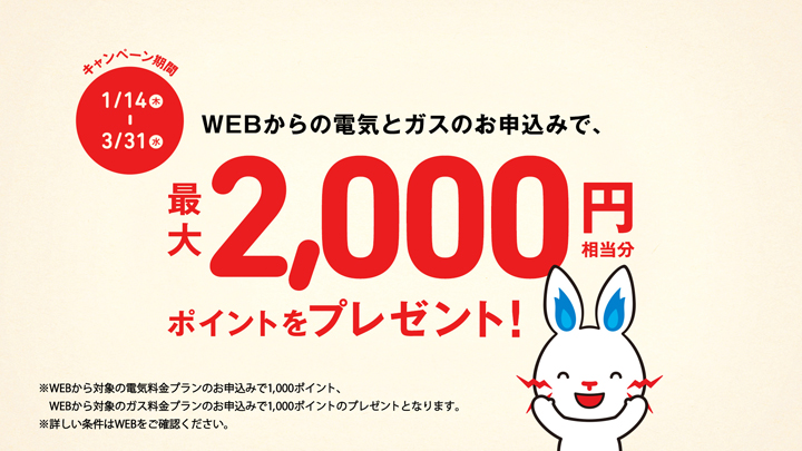 最大2,000円相当分のポイントをプレゼント