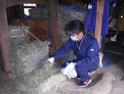 飼料のサンプル採取状況