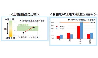 除染後の水田における緑肥栽培試験結果