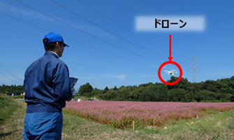 営農再開に向けた地力回復への協力