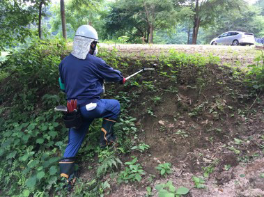 【飯舘村】宅地除染前の線量調査