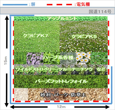 配置イメージ