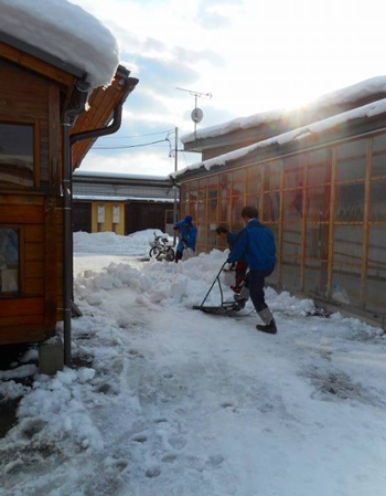 仮設住宅の雪おろしの様子（２） [平成27年１月撮影]