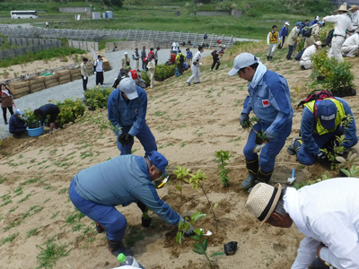 住民の方との植樹の様子[2019年6月2日撮影]
