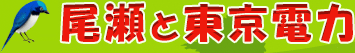 尾瀬からの招待状|東京電力の環境やエコの取り組み