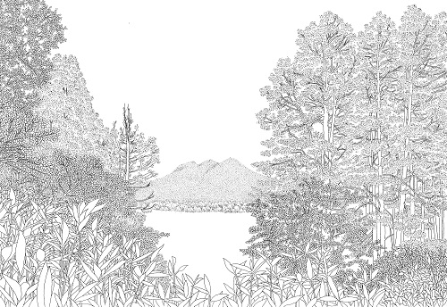 ぬり絵シート(上級編)