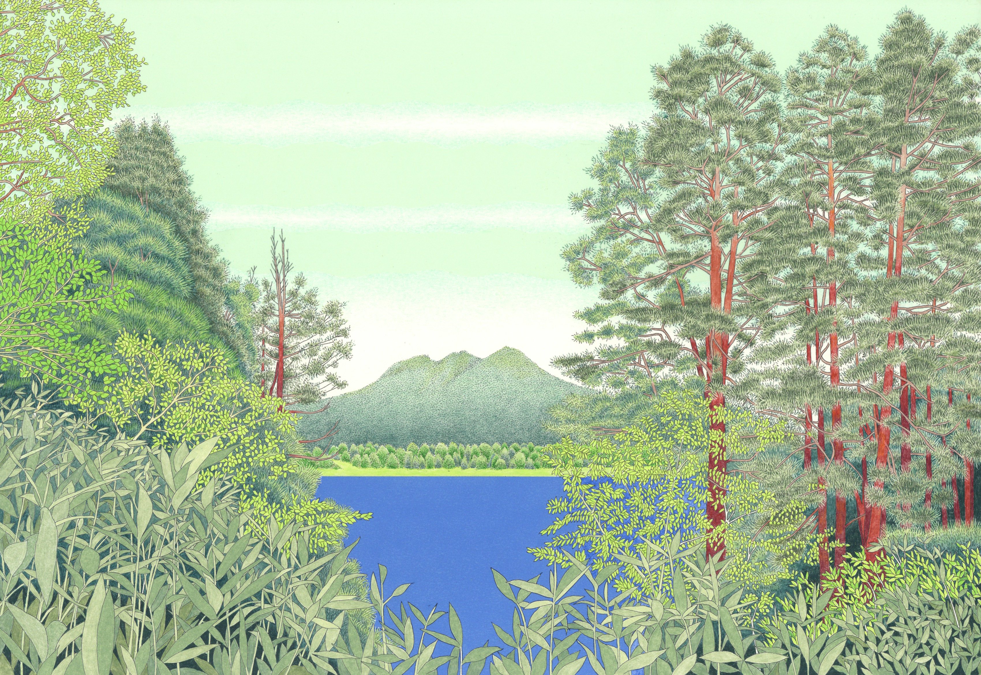 ぬり方の一例(油性の色鉛筆を使いました)